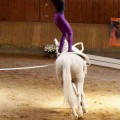 DSC06797-hp.jpg