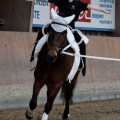 IMG_4070_DxO-hp.jpg