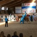 20170430_160135.jpg