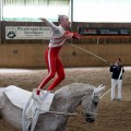 DSC043542.jpg