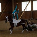 DSC05116.JPG