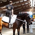 IMG_4120_DxO-hp.jpg