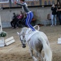 IMG_7989.JPG