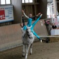 IMG_9034-hp.jpg
