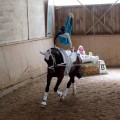 DSC044302.jpg
