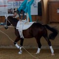DSC05089.JPG