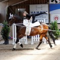 IMG_4073_DxO-hp.jpg