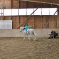 IMG_5295 (800x534).jpg