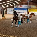 IMG_6214_DxO.jpg