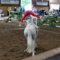 DSC043132.jpg