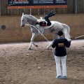 DSC043372.jpg