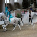 IMG_9092-hp.jpg