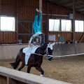 DSC05017.JPG