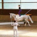 DSC06767-hp.jpg