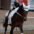 IMG_4101_DxO-hp.jpg