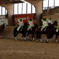 IMG_6250_DxO.jpg