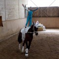 DSC044082.jpg