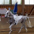 DSC05370.JPG