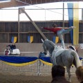 DSC06059.JPG