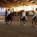 IMG_6223_DxO.jpg