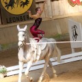 IMG_8042.JPG