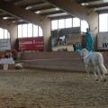 P1550747.JPG