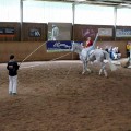 DSC042842.jpg