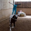 DSC044212.jpg