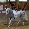 DSC05346.JPG