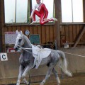DSC05392.JPG