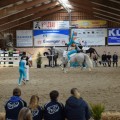 IMG-20170429-WA0049.jpg