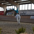 IMG-20170429-WA0256.jpg