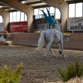 IMG-20170429-WA0259.jpg