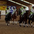 IMG_6251_DxO.jpg
