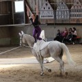 IMG_7963.JPG