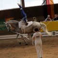 IMG_7984.JPG